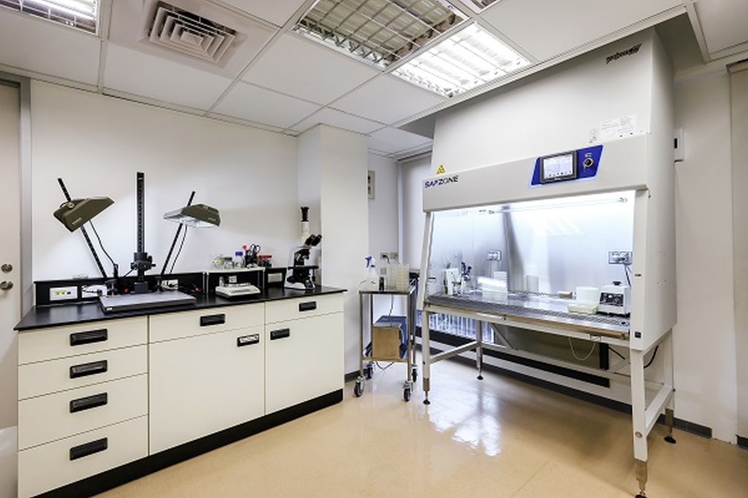 Biosafety Level 2 Lab (BSL-2 Lab)